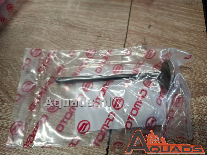 Inlaatklep CF 500